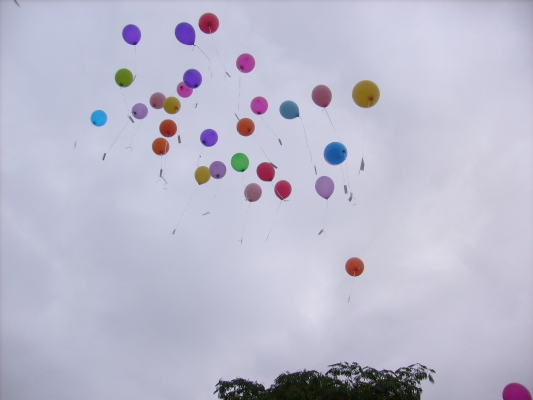 Image redimension&eacute;e S7303628.JPG 