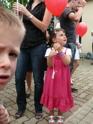 Image redimension&eacute;e P1060660.JPG 