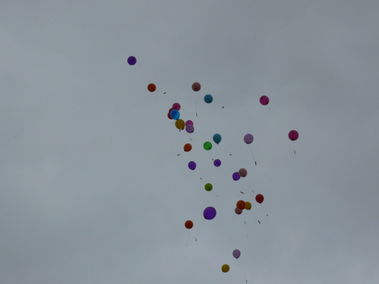 Image redimension&eacute;e P1060663.JPG 