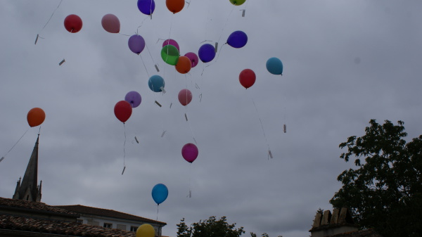 Image redimension&eacute;e DSC03864.JPG 