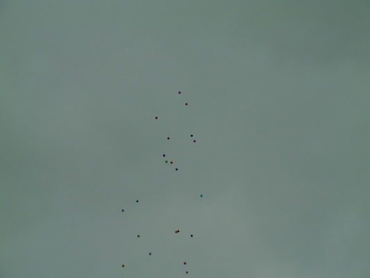 Image redimension&eacute;e IMAG0241.JPG 