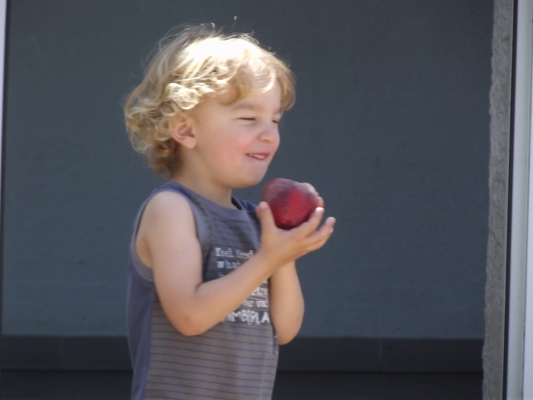 Image redimension&eacute;e DSCF8343.JPG 