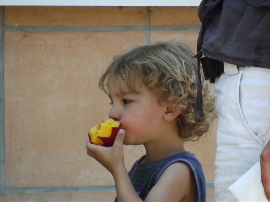 Image redimension&eacute;e DSCF8344.JPG 