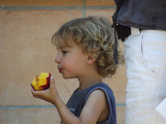 Image redimension&eacute;e DSCF8345.JPG 