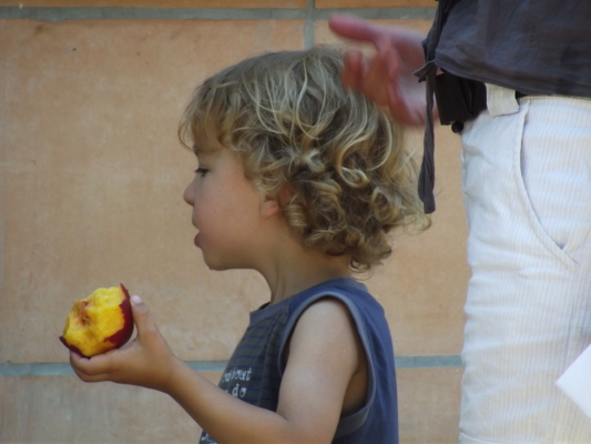 Image redimension&eacute;e DSCF8346.JPG 