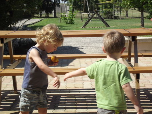 Image redimension&eacute;e DSCF8348.JPG 