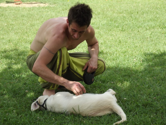 Image redimension&eacute;e DSCF8690.JPG 