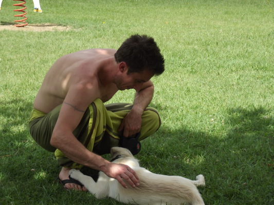 Image redimension&eacute;e DSCF8691.JPG 