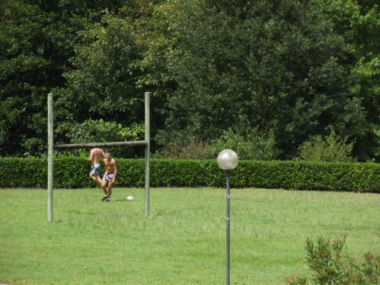 Image redimension&eacute;e DSCF8702.JPG 