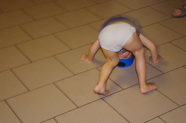 Image redimension&eacute;e IMGP1154.JPG 