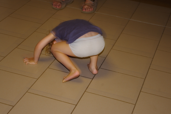 Image redimension&eacute;e IMGP1155.JPG 