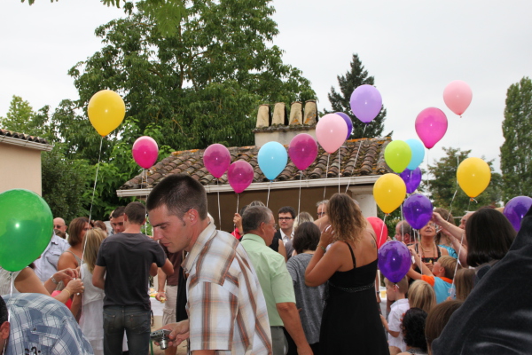 Image redimension&eacute;e IMG_3986.JPG 