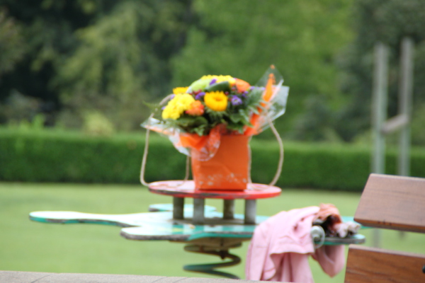 Image redimension&eacute;e IMG_4130.JPG 