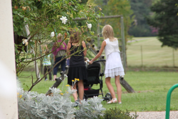 Image redimension&eacute;e IMG_4132.JPG 