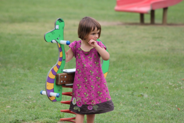 Image redimension&eacute;e IMG_4255.JPG 