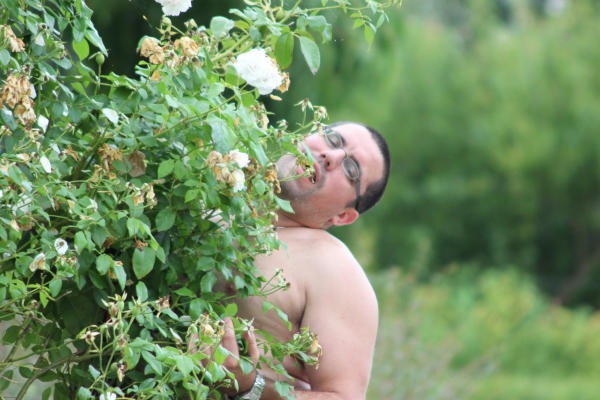 Image redimension&eacute;e IMG_4260.JPG 