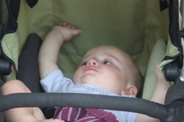 Image redimension&eacute;e IMG_4270.JPG 