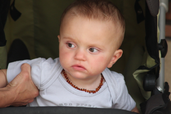 Image redimension&eacute;e IMG_4271.JPG 