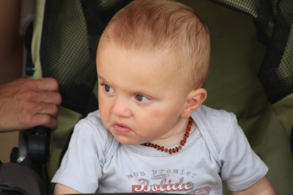 Image redimension&eacute;e IMG_4272.JPG 