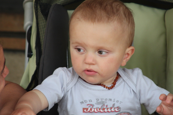 Image redimension&eacute;e IMG_4273.JPG 