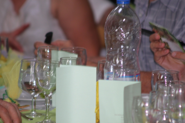 Image redimension&eacute;e IMG_4293.JPG 