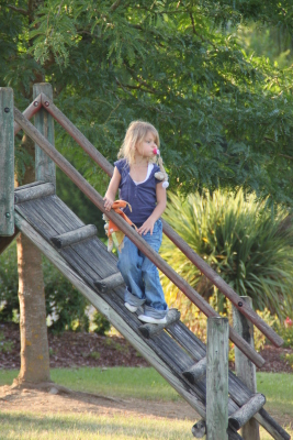 Image redimension&eacute;e IMG_4552.JPG 