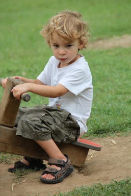 Image redimension&eacute;e IMG_4566.JPG 