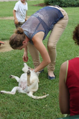 Image redimension&eacute;e IMG_4567.JPG 