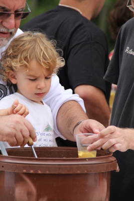 Image redimension&eacute;e IMG_4581.JPG 