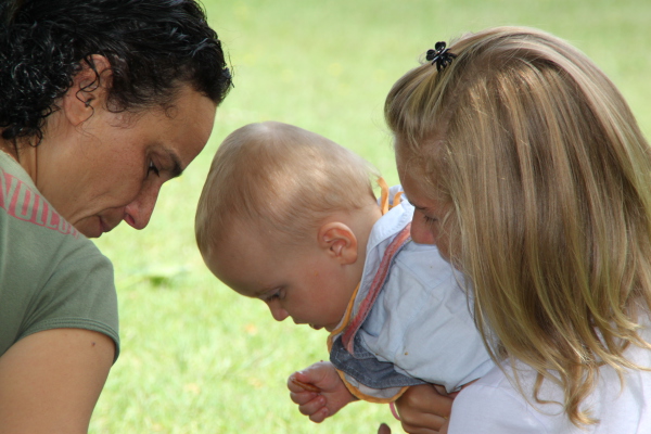 Image redimension&eacute;e IMG_4616.JPG 