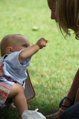 Image redimension&eacute;e IMG_4629.JPG 