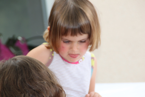 Image redimension&eacute;e IMG_4638.JPG 