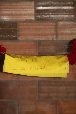 Image redimension&eacute;e IMG_4659.JPG 