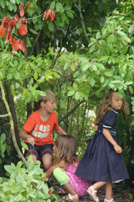 Image redimension&eacute;e IMG_4676.JPG 