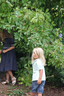 Image redimension&eacute;e IMG_4677.JPG 