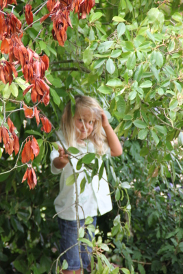 Image redimension&eacute;e IMG_4683.JPG 