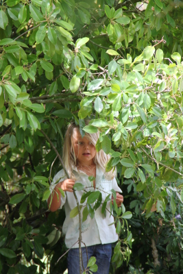 Image redimension&eacute;e IMG_4684.JPG 