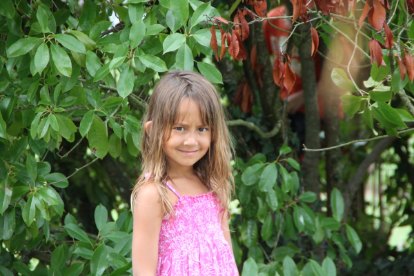 Image redimension&eacute;e IMG_4689.JPG 