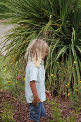 Image redimension&eacute;e IMG_4690.JPG 