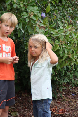 Image redimension&eacute;e IMG_4691.JPG 