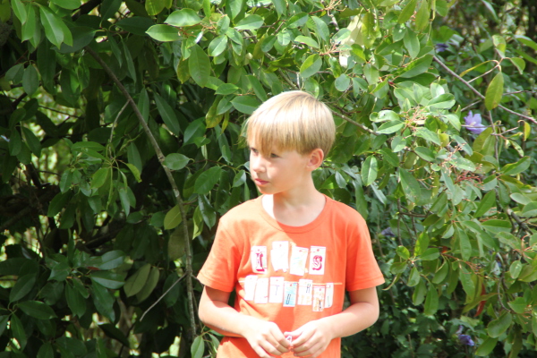 Image redimension&eacute;e IMG_4693.JPG 