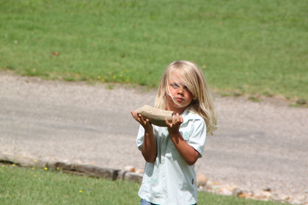 Image redimension&eacute;e IMG_4694.JPG 