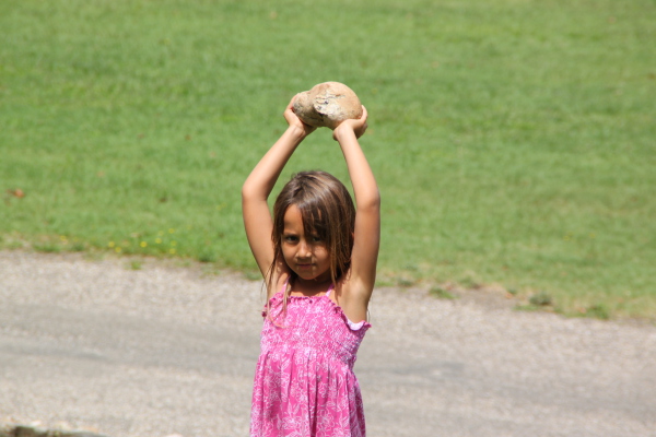 Image redimension&eacute;e IMG_4695.JPG 