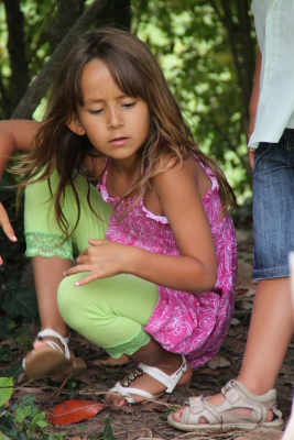 Image redimension&eacute;e IMG_4697.JPG 