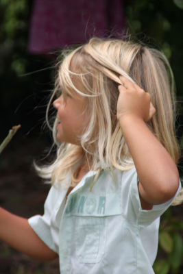 Image redimension&eacute;e IMG_4699.JPG 