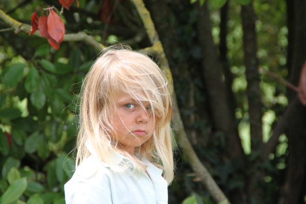 Image redimension&eacute;e IMG_4700.JPG 