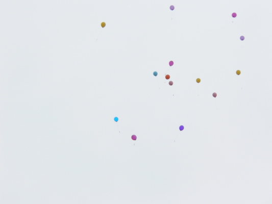 Image redimension&eacute;e P1160308.JPG 