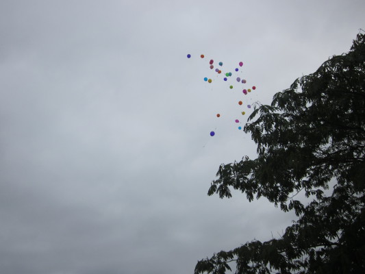 Image redimension&eacute;e IMG_0618.JPG 