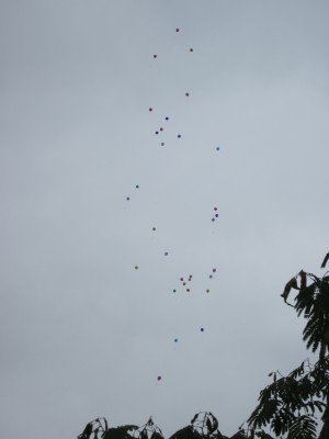 Image redimension&eacute;e IMG_0620.JPG 