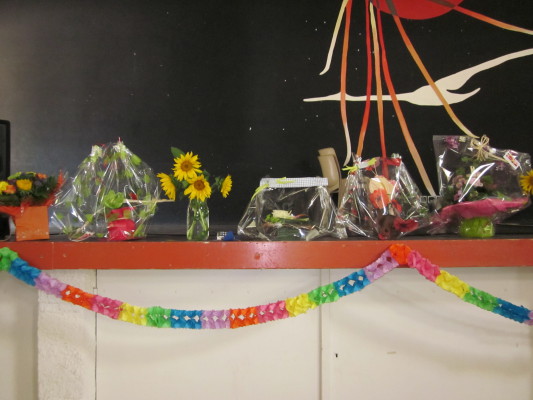 Image redimension&eacute;e IMG_0702.JPG 